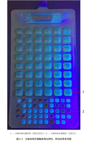 大腸埃希氏菌酶底物法陰性、陽(yáng)性結(jié)果參考圖